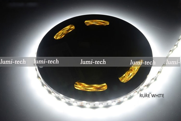 LED e[vCg
